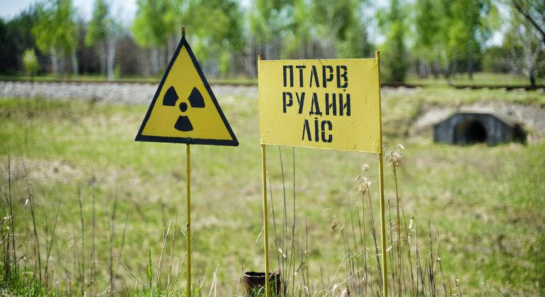 Novo painel da ONU analisará impacto de uma eventual guerra nuclear