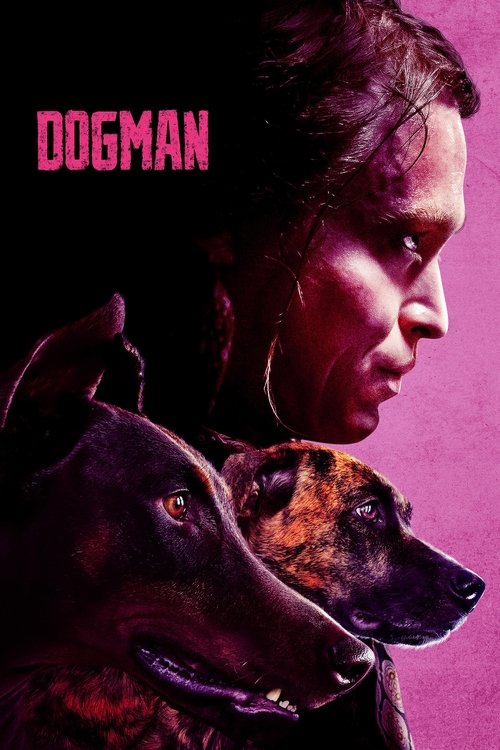 Resenhas de filmes. Cobertura da TV. Reboques. Festivais de cinema.