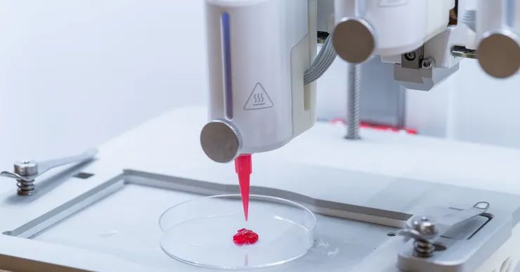 Os pesquisadores criam a pele artificial impressa em 3D que permite a circulação sanguínea