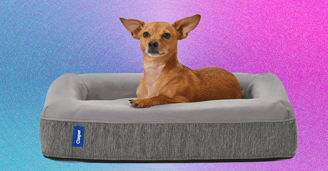 Melhores camas de cachorro (2025): Para todos os tipos de cães em todos os tipos de espaços