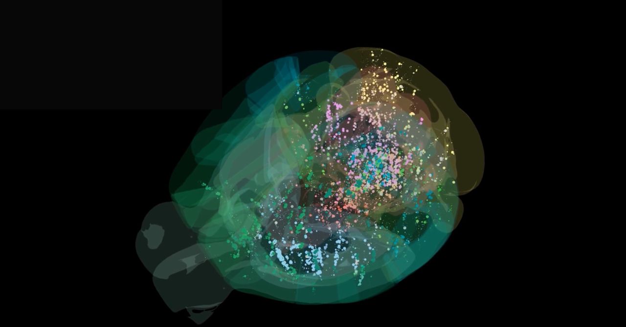 Esta é a primeira vez que os cientistas vêem a tomada de decisão em um cérebro