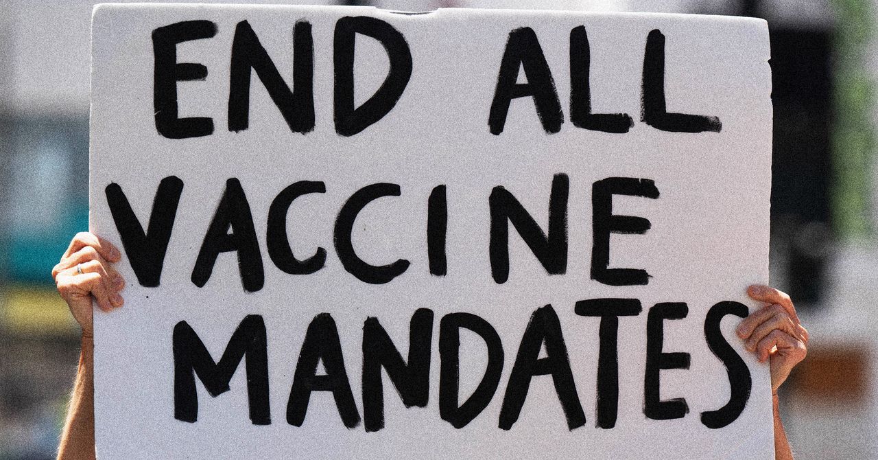 Anti-Vaxxers regozije-se com o esquema da Flórida para acabar com os mandatos da vacina para crianças e todos os outros
