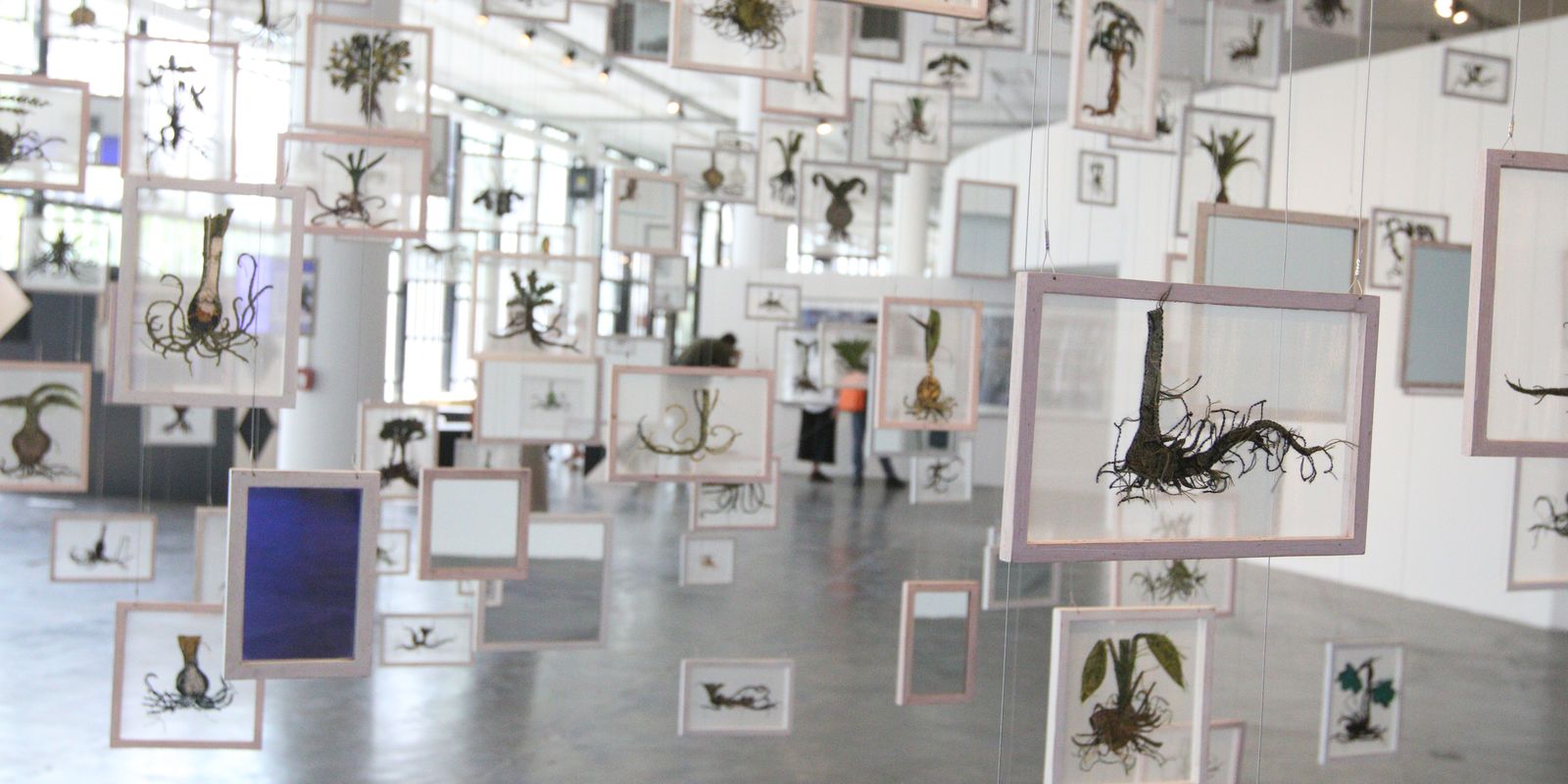 36ª Bienal de São Paulo abre suas portas neste sábado, no Ibirapuera