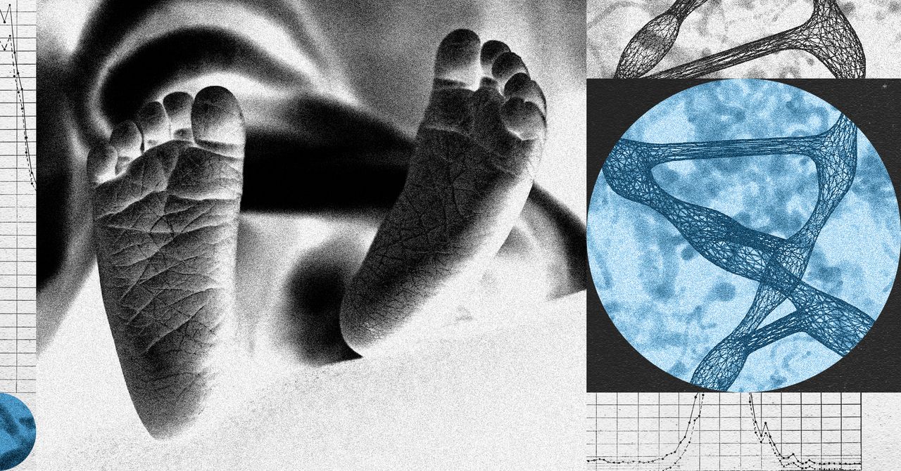 Uma nova startup quer editar embriões humanos