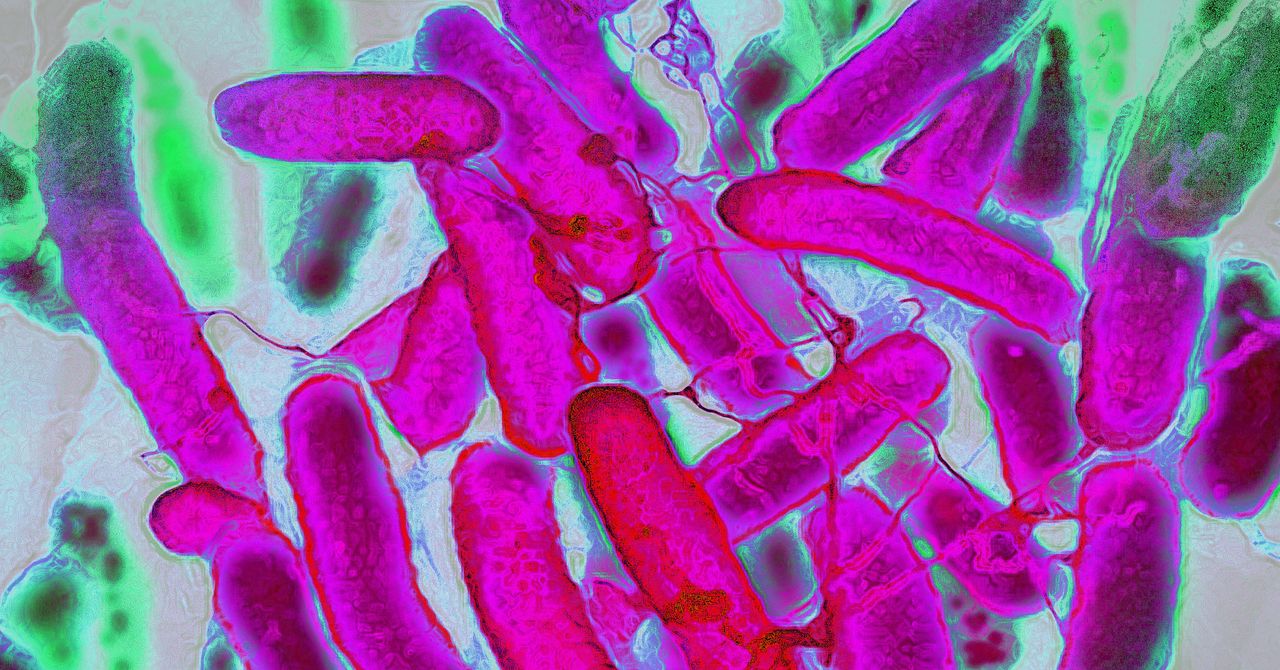 Bactérias resistentes estão avançando mais rápido que os antibióticos