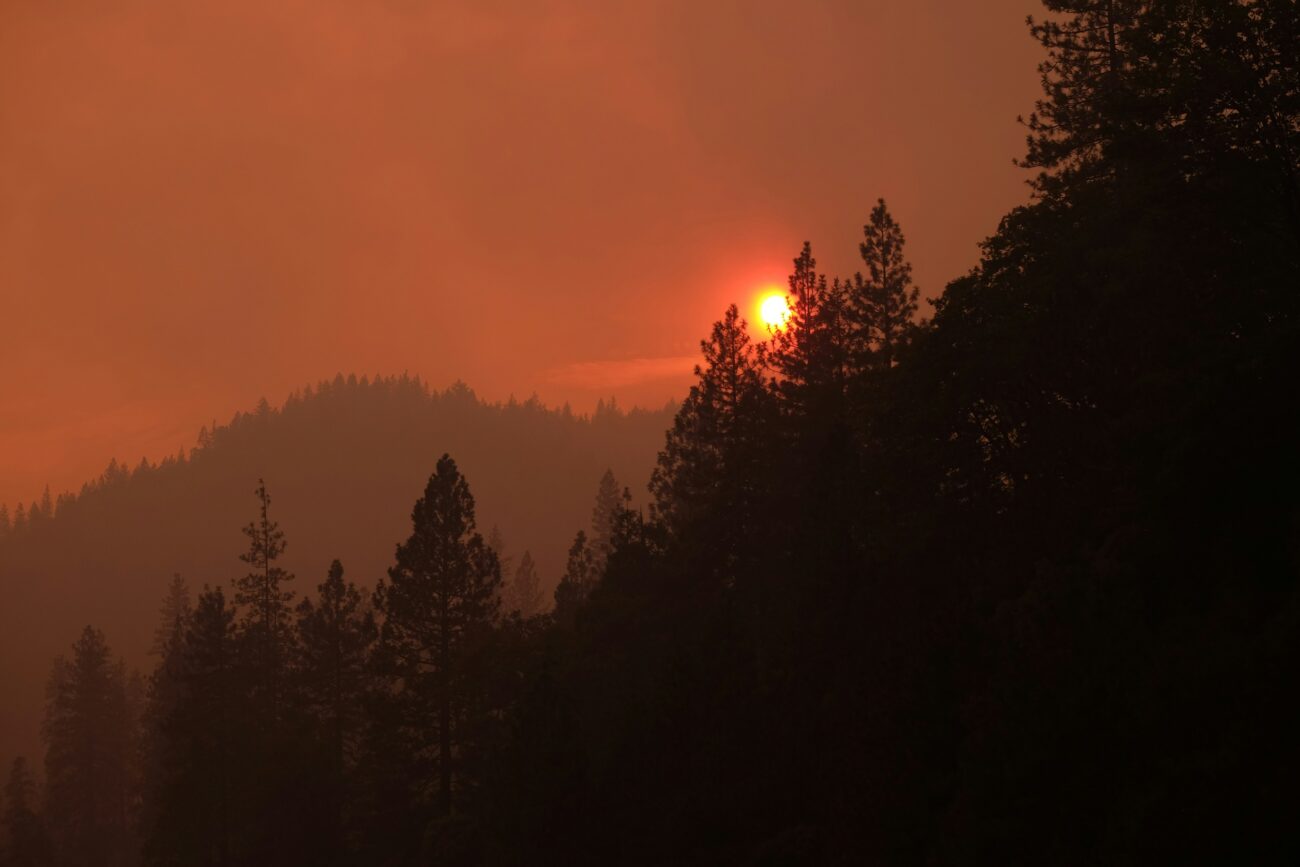 Construindo Resiliência Climática Através de Incentivos de Seguros – Estado do Planeta