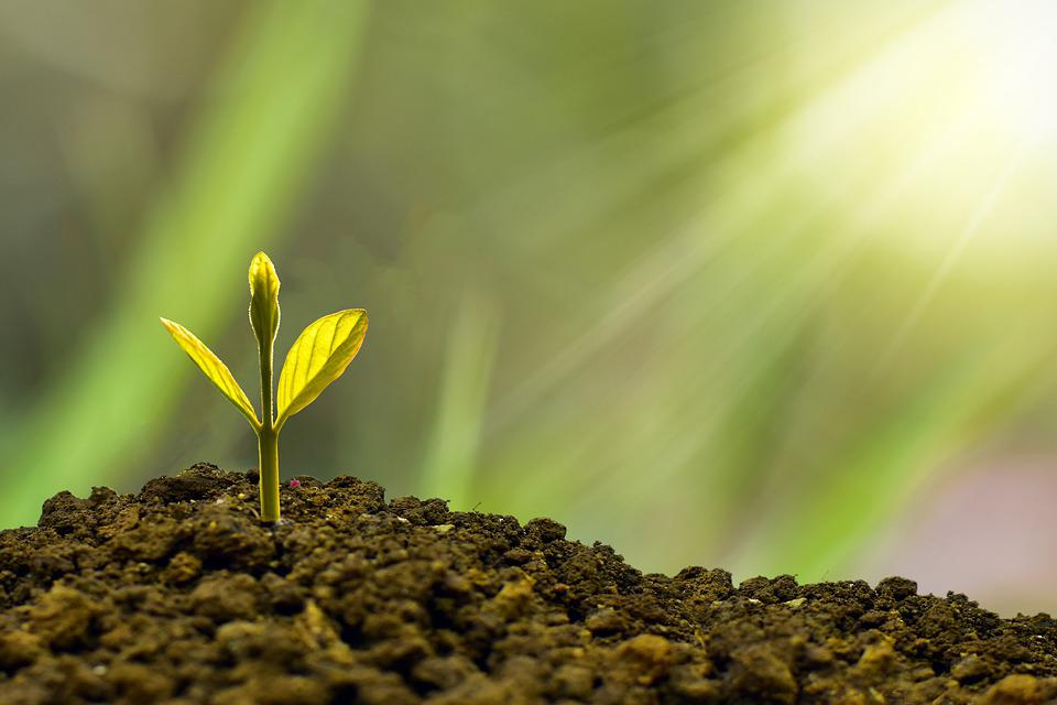 4 ideias de investimento em renda passiva para ganhar dinheiro extra em 2025 e além