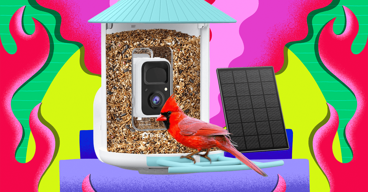 A Amazon está realizando uma grande promoção na Black Friday de alimentadores inteligentes para pássaros Birdfy (2025)