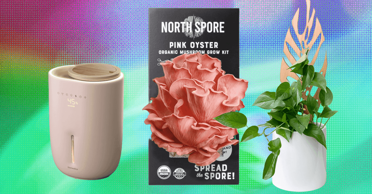 Os 17 melhores presentes para amantes de plantas que nós mesmos compraríamos (2025)