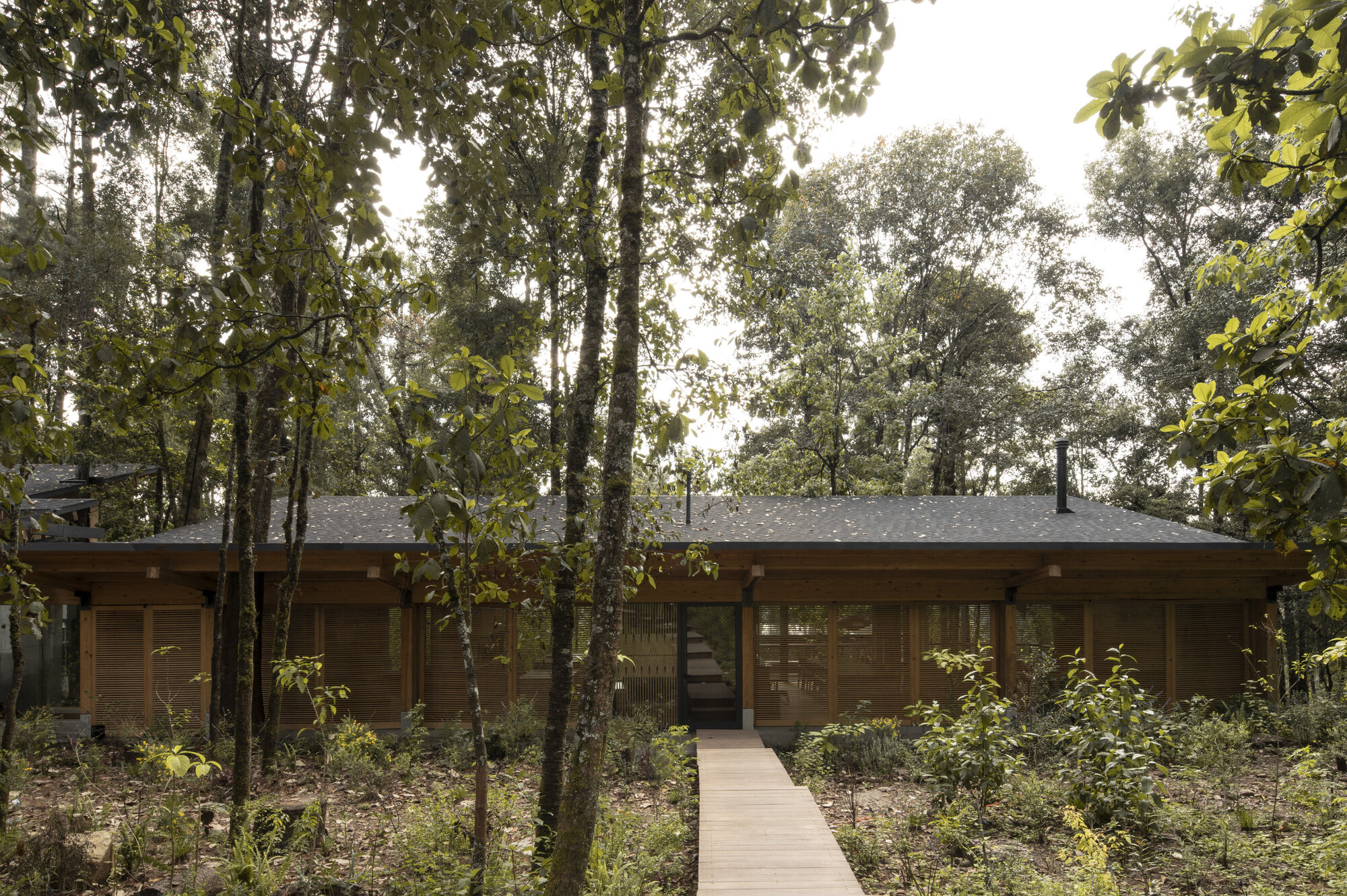 Casa na Floresta / Vasconcelos Arquitectura + Espaço Tangível