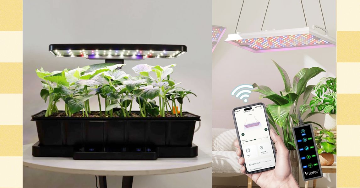 Os melhores presentes de plantas e jardinagem da LetPot (2025)