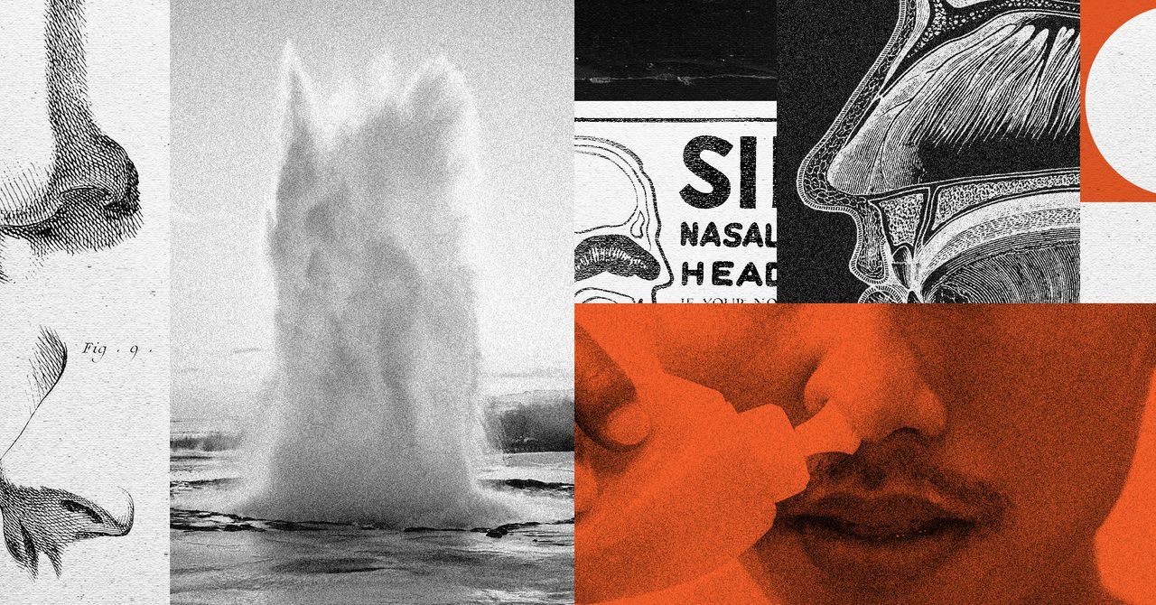 A antiga arte do enxágue nasal pode protegê-lo de um resfriado