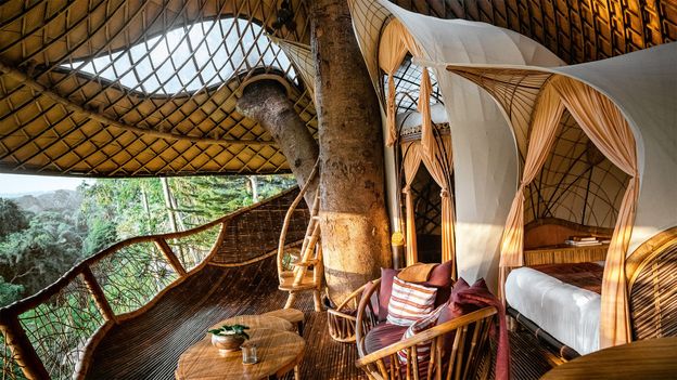 10 das casas na árvore mais espetaculares do mundo