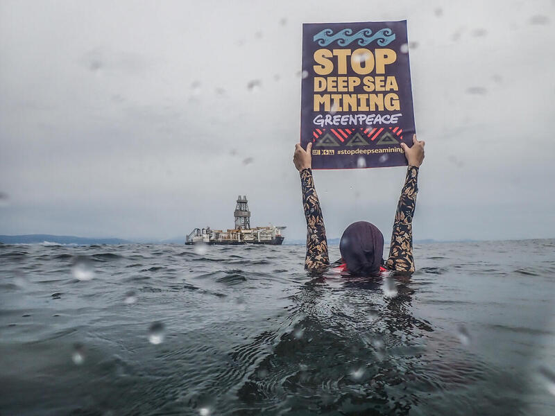 Relatório: Greenpeace Canadá. A ser lançado em breve.