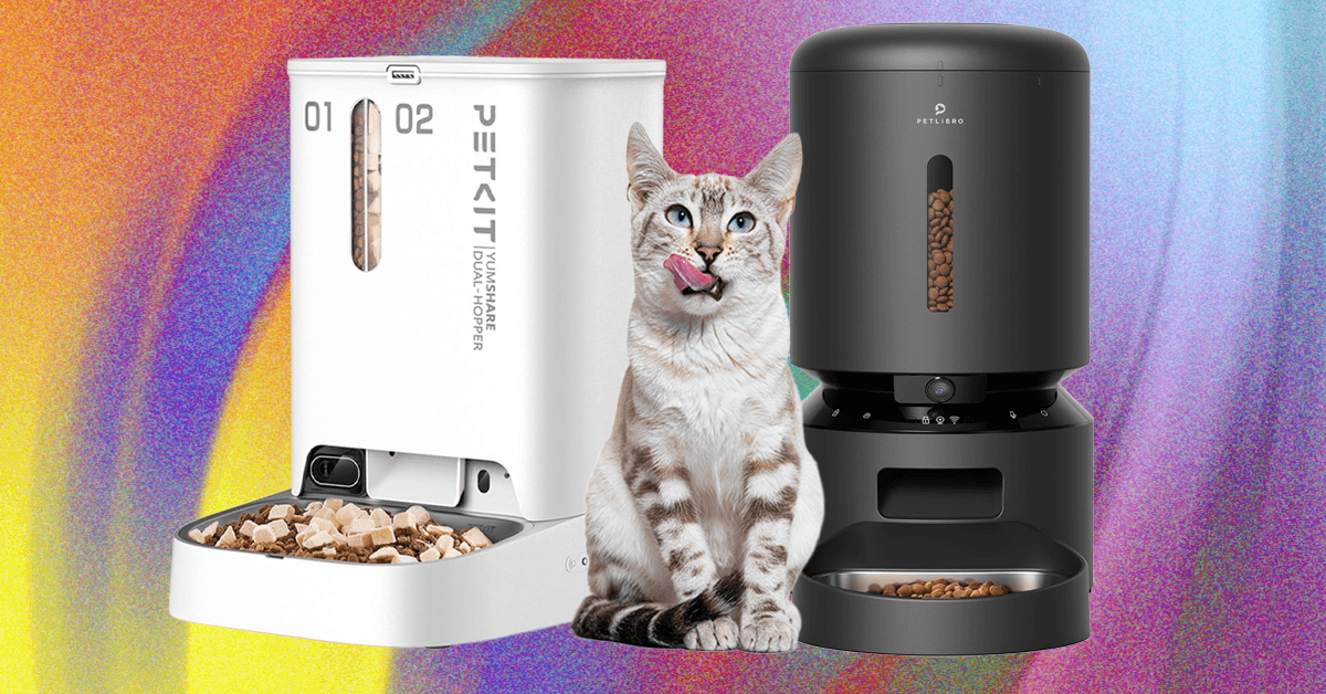 Estes 10 comedouros automáticos para gatos foram os melhores que testamos (2026)
