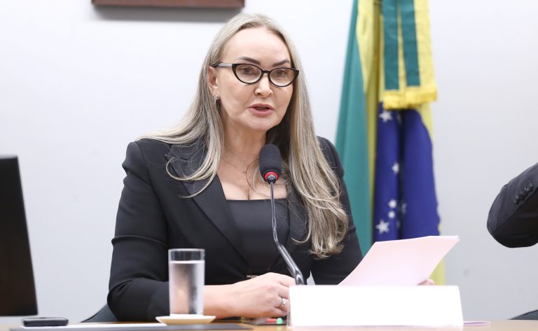 Daniela Reinehr é eleita presidente da Comissão de Turismo e anuncia plano de competitividade – Notícias