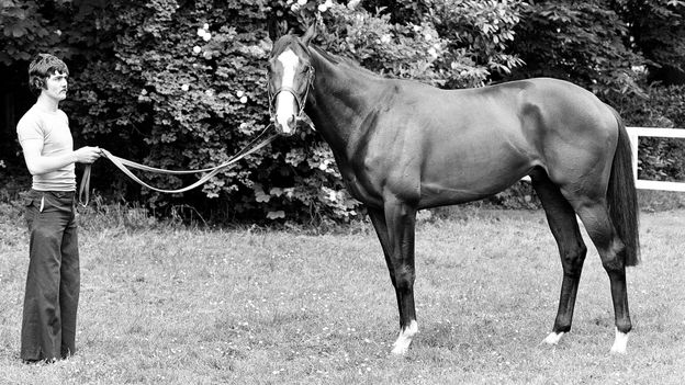 O misterioso sequestro de Shergar, o cavalo de corrida campeão