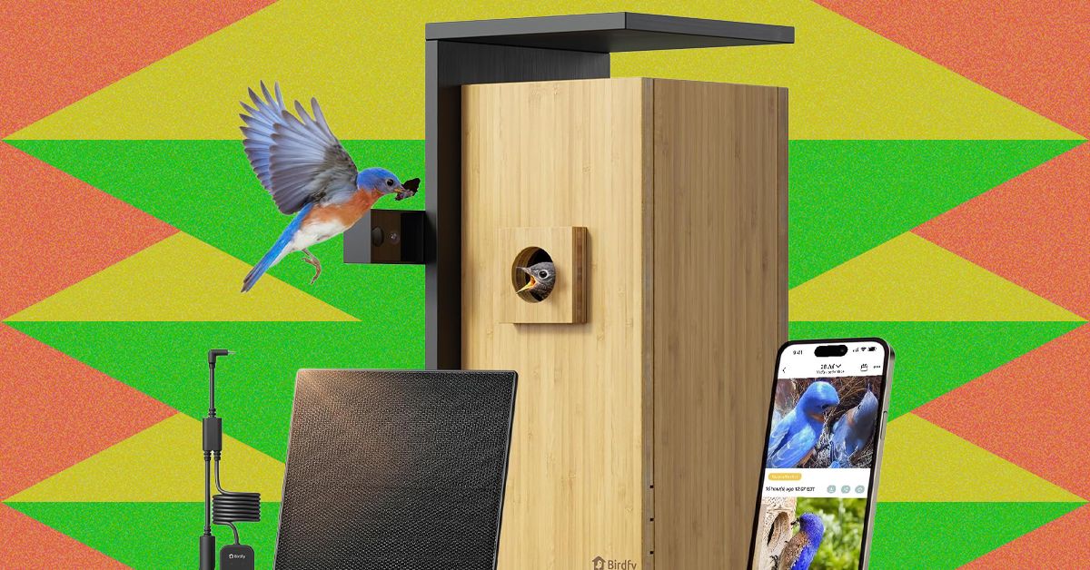 A promoção de primavera da Amazon está florescendo com alimentadores inteligentes para pássaros