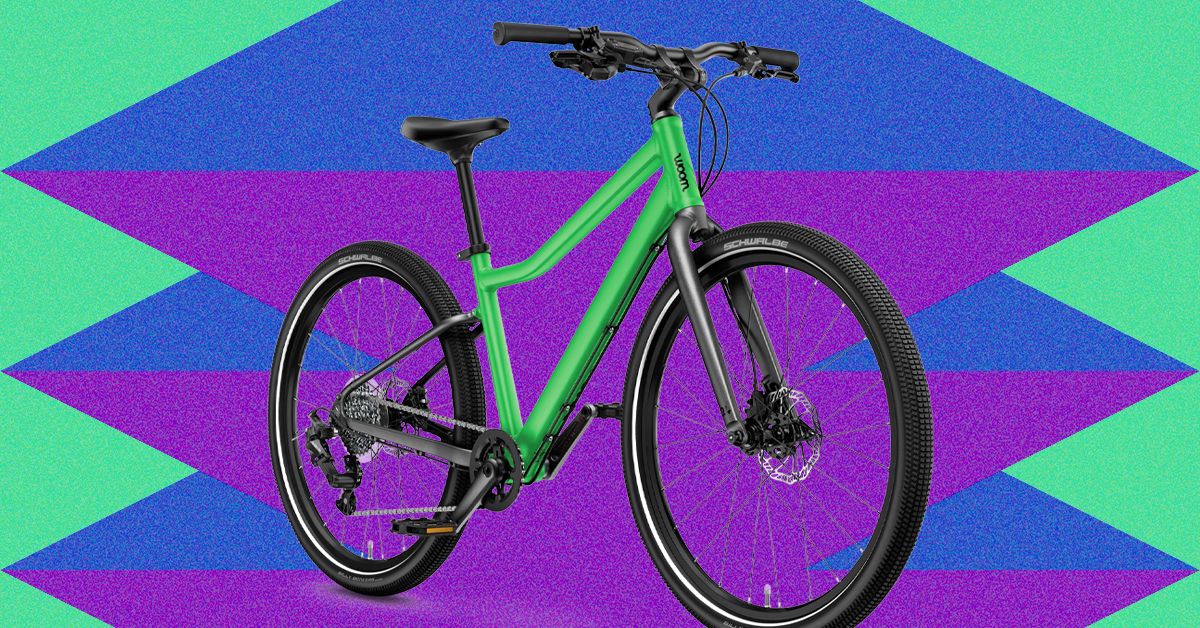 Melhores bicicletas infantis (2026): Woom, Prevelo, Guardian e muito mais