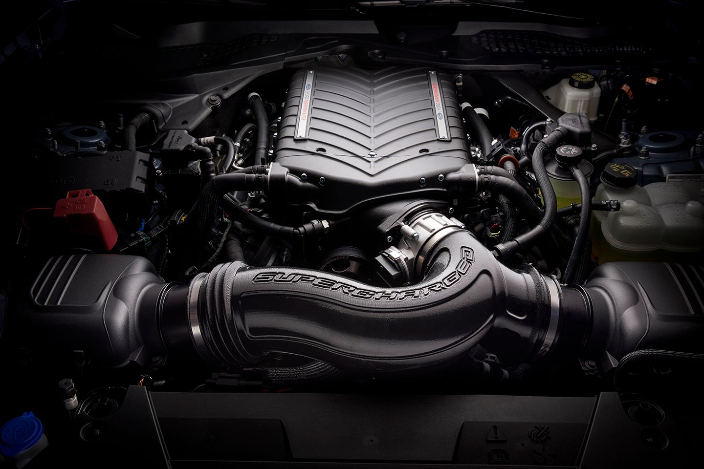 Ford EUA oferecerá carregadores Whipple com garantia