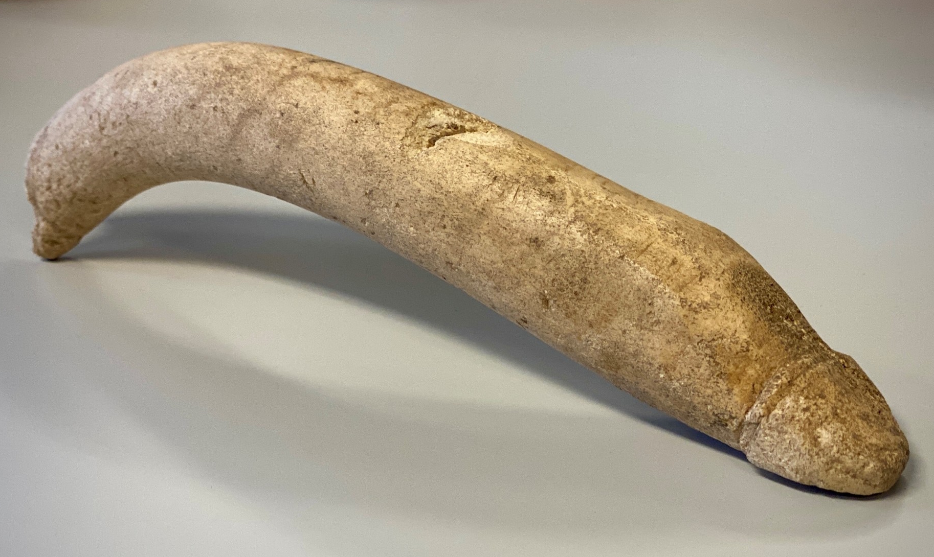 Museu holandês encontra tesão romana de 8 ″ armazenada – The History Blog