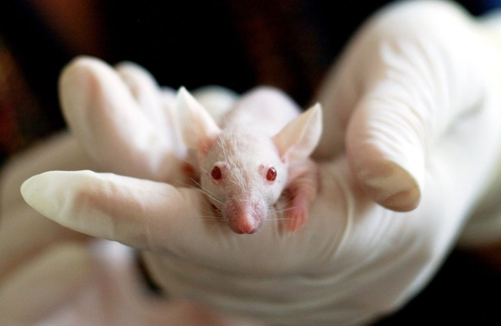 4 erros que as startups de biotecnologia cometem – e como evitá-los