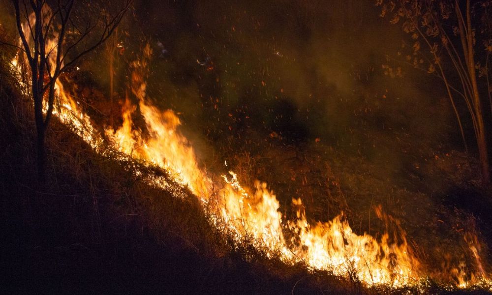 Incêndios florestais no oeste expõem lacunas de cobertura à medida que as moratórias das transportadoras se espalham