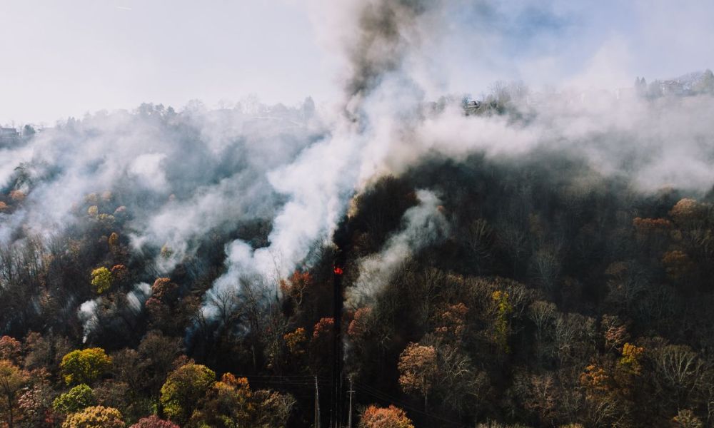A fumaça dos incêndios florestais no Canadá cobre o nordeste dos EUA, aumentando o risco de qualidade do ar para os empregadores