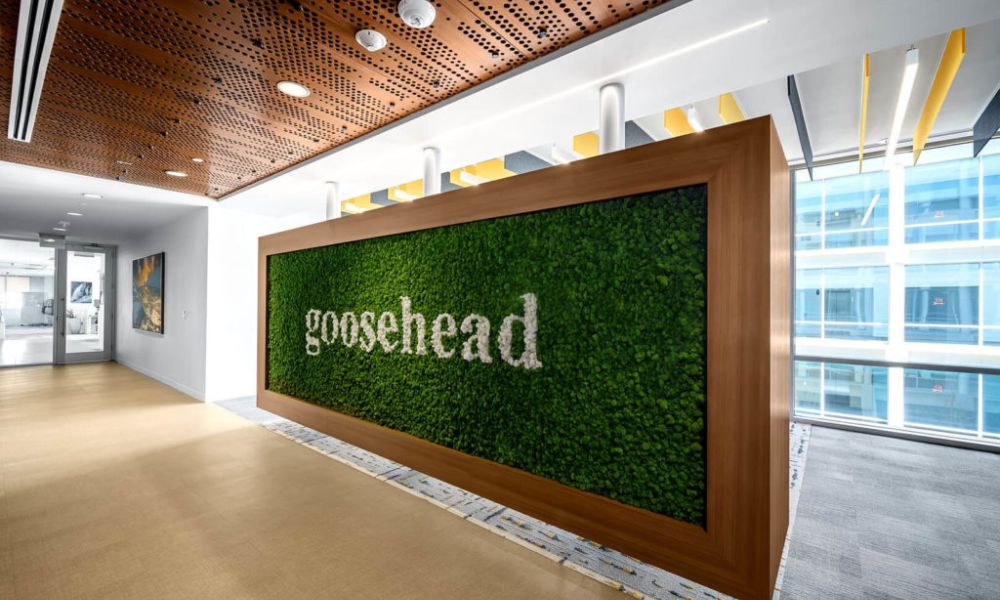 Goosehead nomeia CEO interno, já que os prêmios emitidos no segundo trimestre chegam a US$ 1,34 bilhão