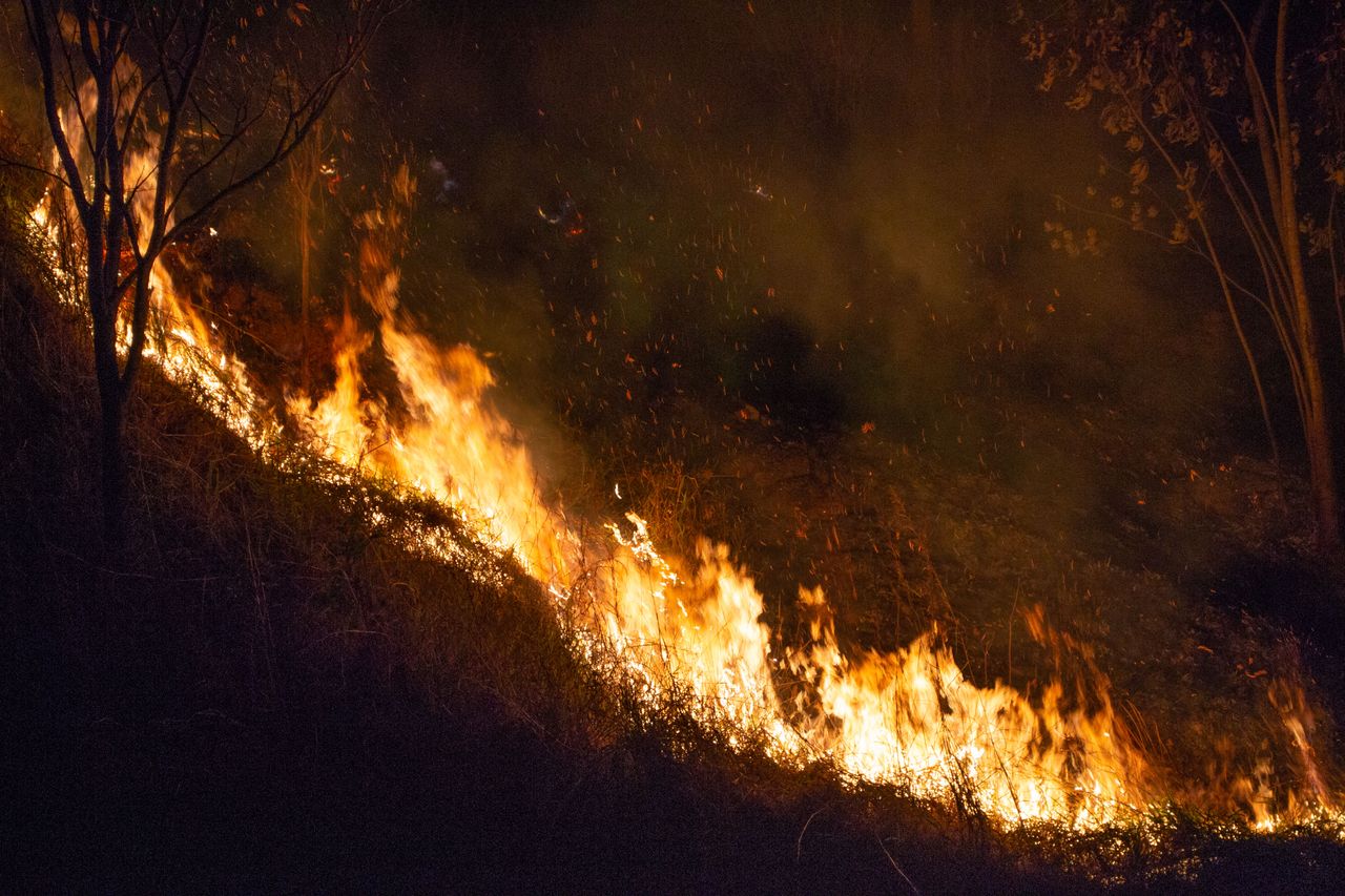 Lacunas de responsabilidade por incêndios florestais colocam as seguradoras de serviços públicos em risco de crédito, alerta DBRS