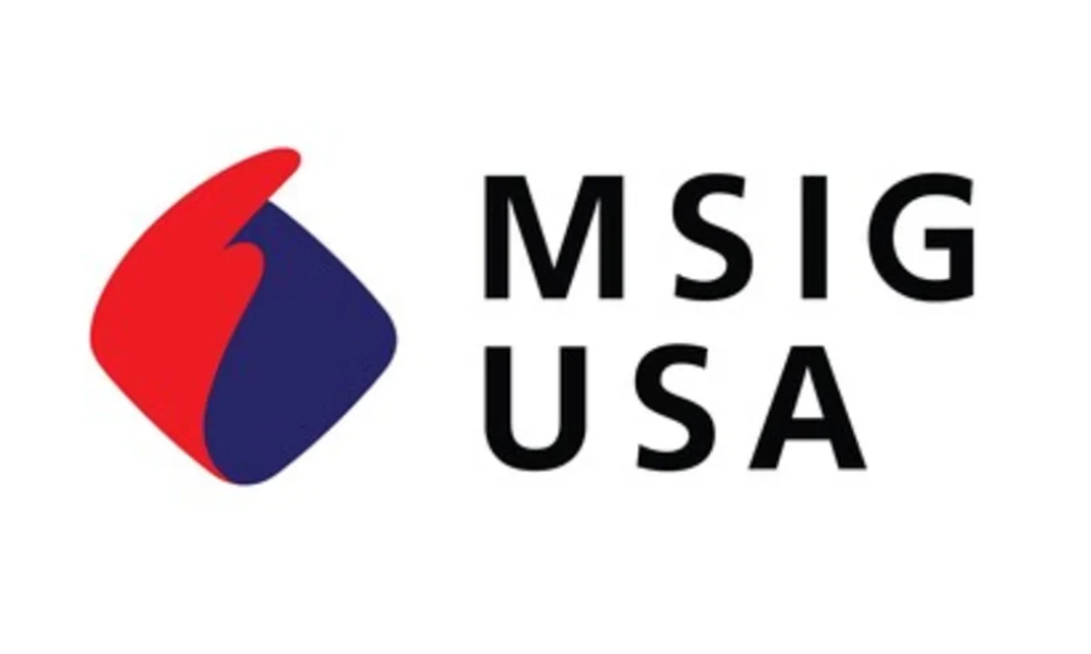 MSIG USA apoia fundo de US$ 500 milhões liderado pelo DEG para expandir o investimento sustentável em mercados emergentes