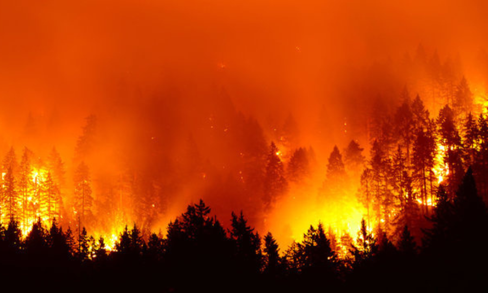 Os incêndios florestais no Canadá acrescentam nova complexidade para as seguradoras à medida que as tarifas e a escassez de ajustadores colidem