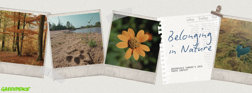 🌿 Pertencimento à Natureza: Nosso Concurso de Fotografia 2026 chegou!
